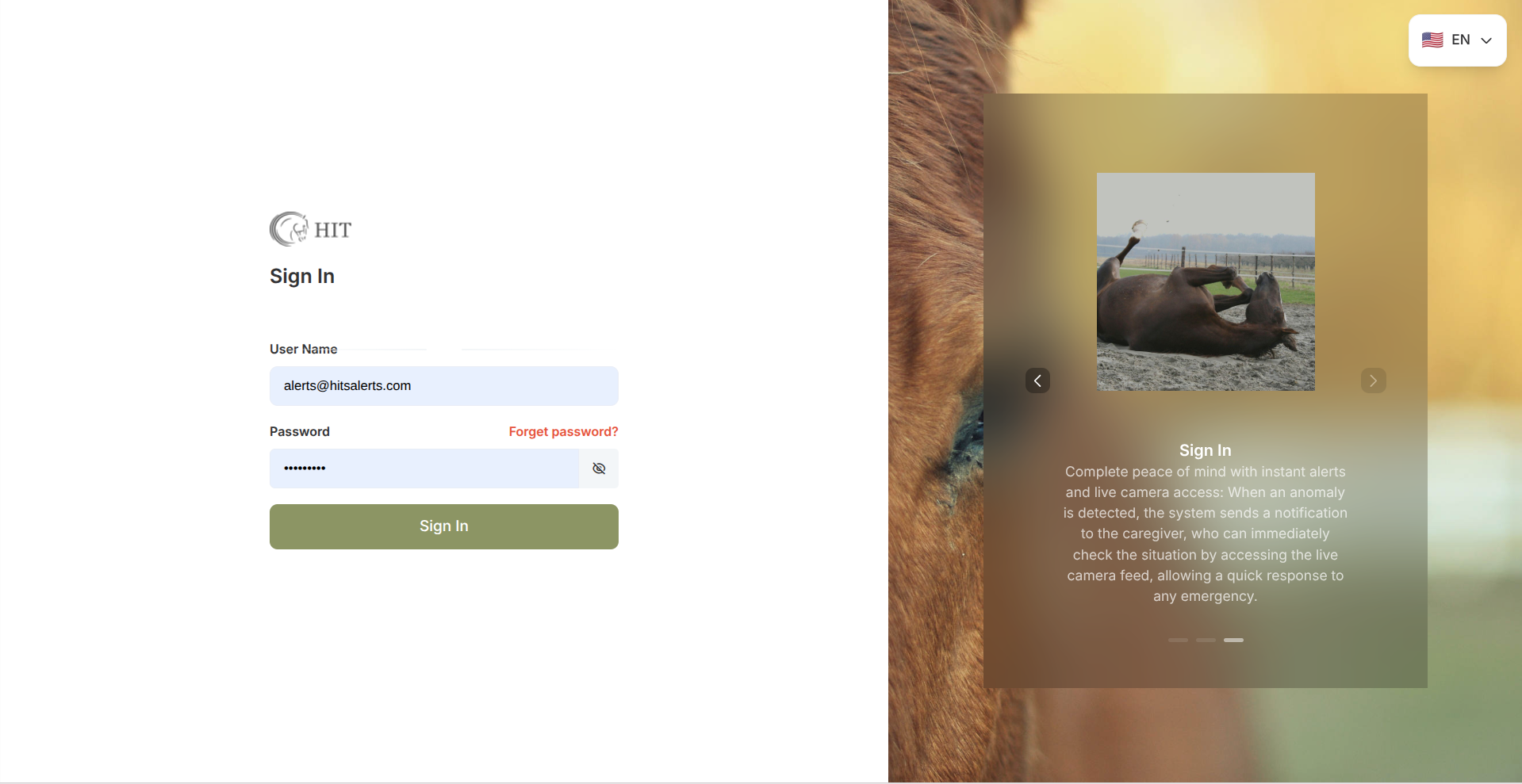 HIT - Horse Monitoring System